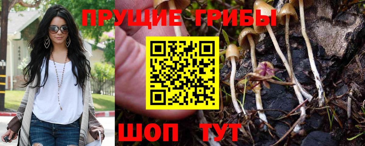 Петрозаводск  Псилоцибиновые грибы мицелий  Вход с VPN 
