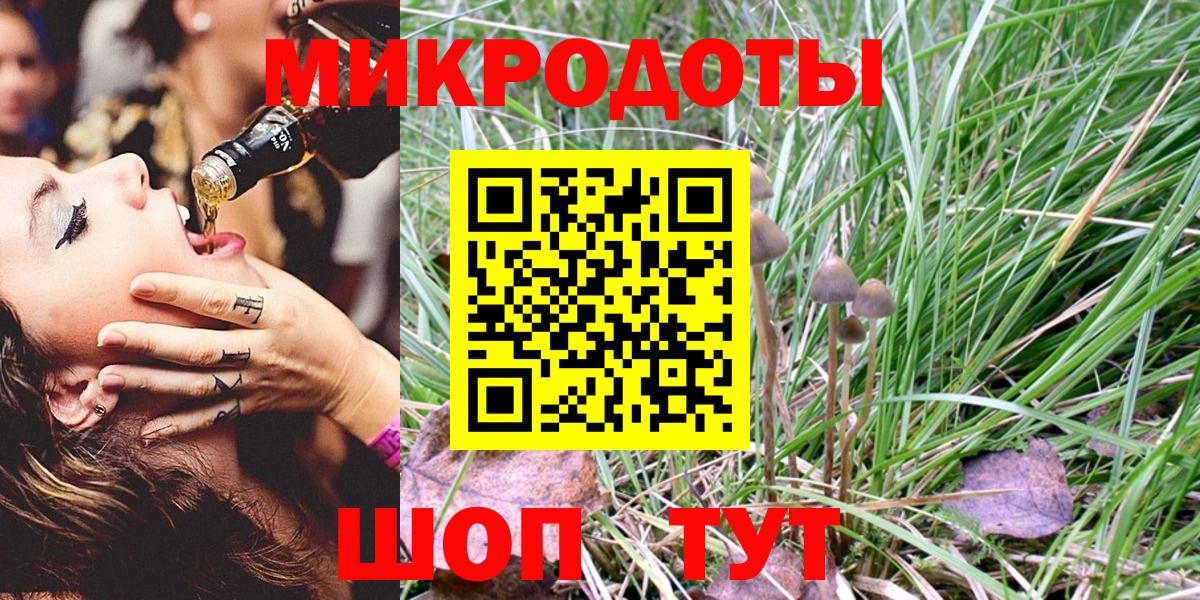 Псилоцибиновые грибы прущие грибы Петрозаводск